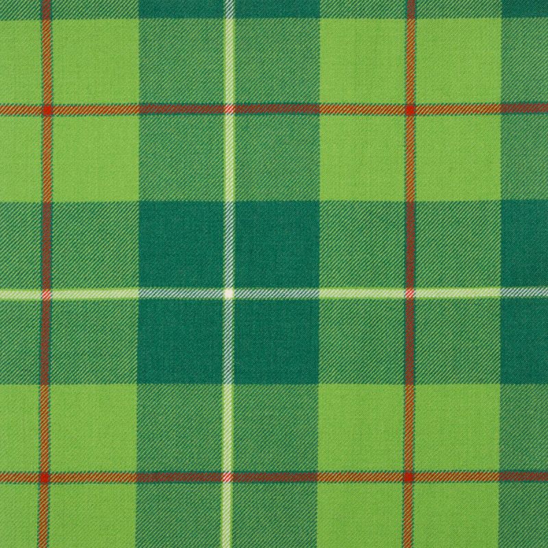 Galloway Hunting Modern Tartan Fabric